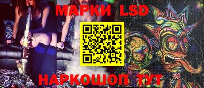 apvp Нальчик