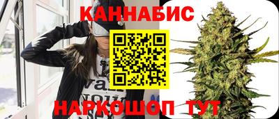 apvp Нальчик