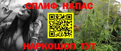 apvp Нальчик