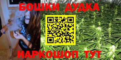apvp Нальчик