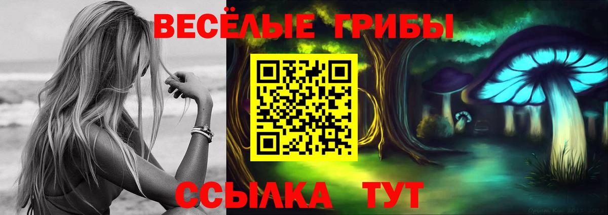 Галлюциногенные грибы Cubensis  Вход с VPN  Саров 